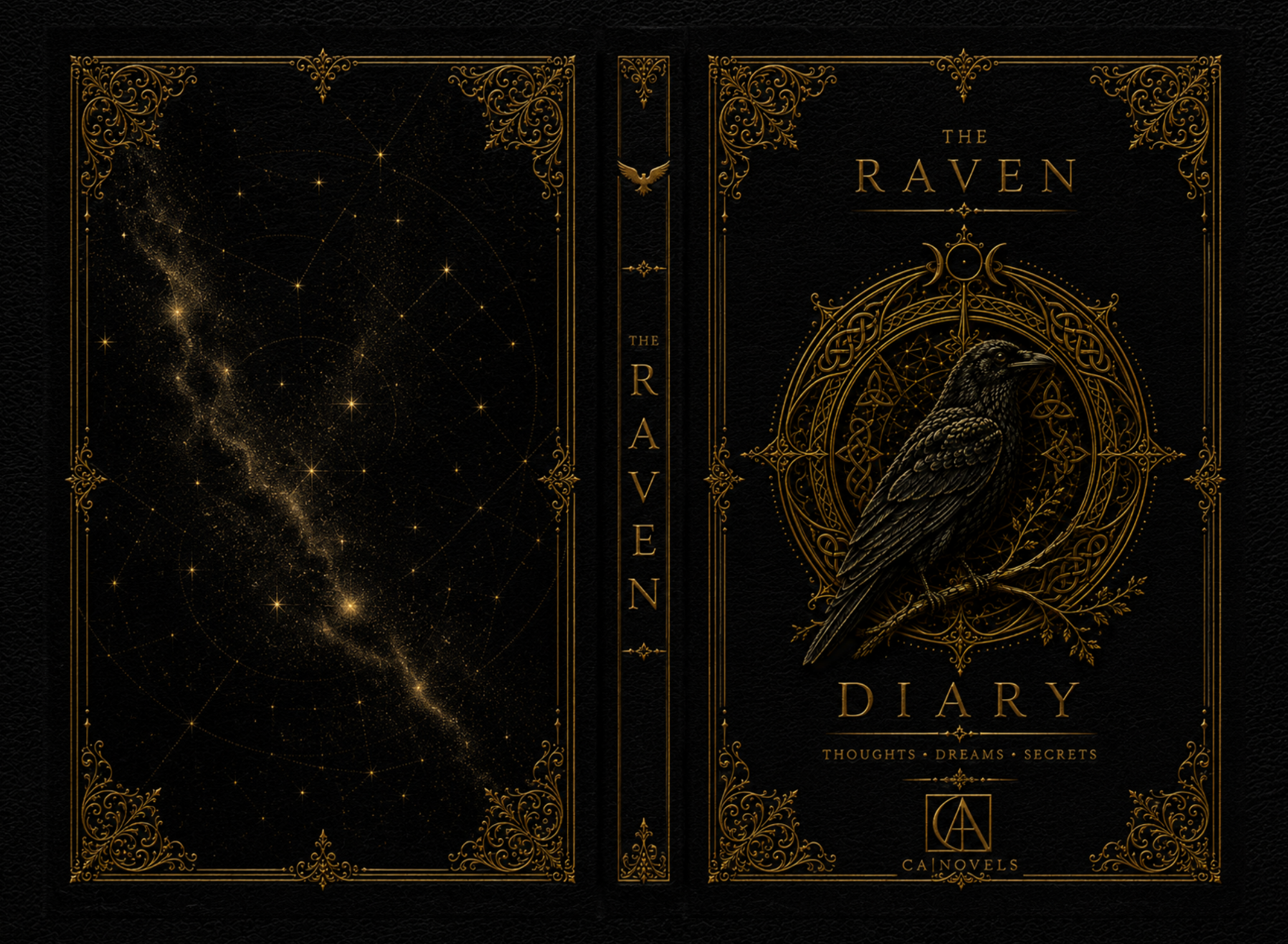 Kompletter Buchumschlag The Raven Diary